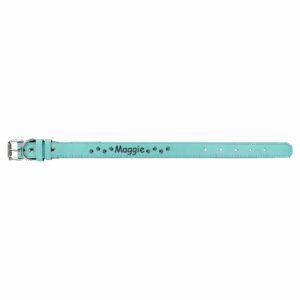 Small 15" x 3/4" Teal Laserable Leatherette Dog Collar