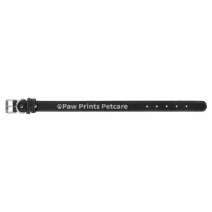Medium 19" x 1" Black/Silver Laserable Leatherette Dog Collar