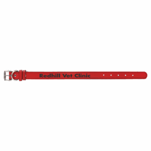 Medium 19" x 1" Red Laserable Leatherette Dog Collar