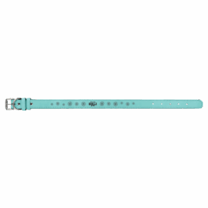 Large 23" x 1" Teal Laserable Leatherette Dog Collar